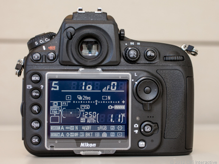 Nikon D800 rear view
